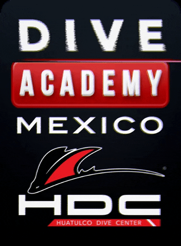 HuatulcoDiveCenter GIF