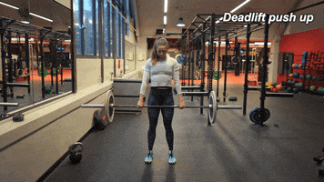 bec8888  GIF