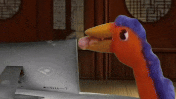 Bird Laptop GIF