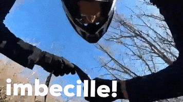 Imbecille GIF by maremmawheelsonfire