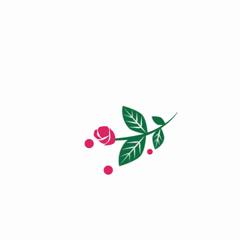 my_looki GIF