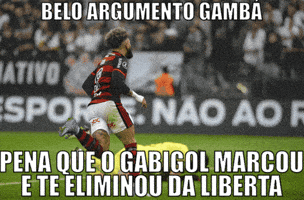 Copa Do Brasil B GIF