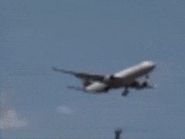 Plane Airplane GIF