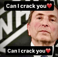Gary Bettman GIF