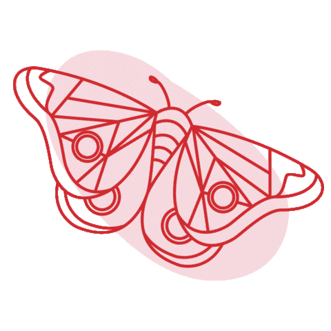 Fada Urbana Sticker
