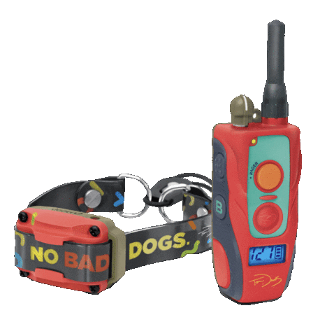 Upstate Canine Academy Sticker