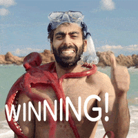 captain obvious yes GIF by Hotels.com