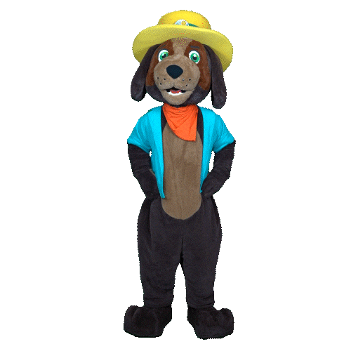 Dance Dancing Sticker by RCN Vakantieparken