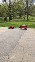 Man Spotted Using RC Car to Pull Child in Wagon