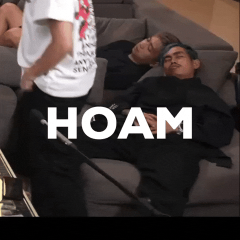 Nap Sleeping GIF