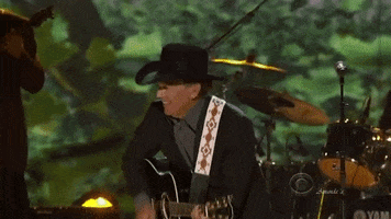 country music concert GIF
