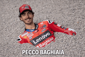 Motogp Ducati GIF