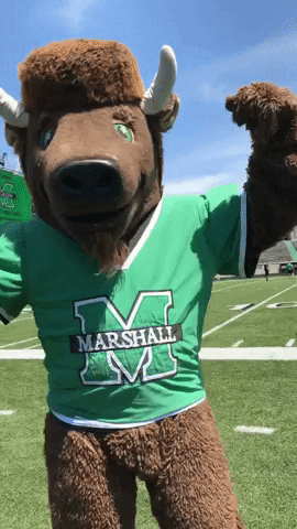 marshallu GIF by Marshall University