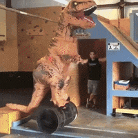 Work Out Exercise GIF