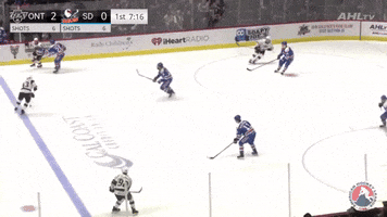 Hockey Ahl GIF by Ontario Reign