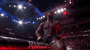 Not Bad Aljamain Sterling GIF by UFC