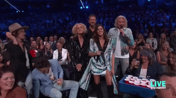 beer pong ball GIF by Little Big Town