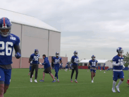 Nfl Giants GIF