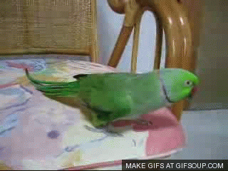 Smell GIF - Find & Share on GIPHY