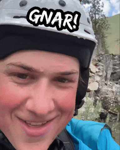 Davidbarnez GIF