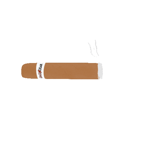 Lisardo vivas Sticker