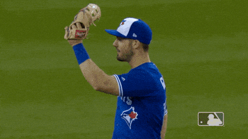 major league baseball hug GIF by MLB