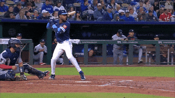 Lets Go Mlb GIF by Kansas City Royals