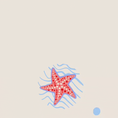 Good Morning Summer GIF