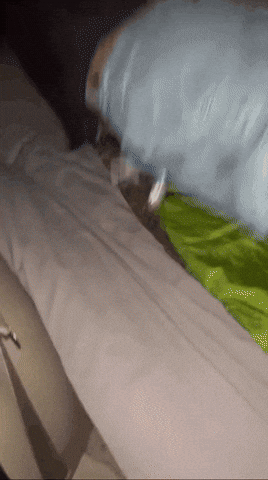 The Worm GIF