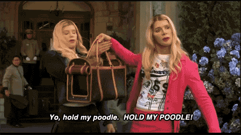 Image result for white chicks hold my poodle gif