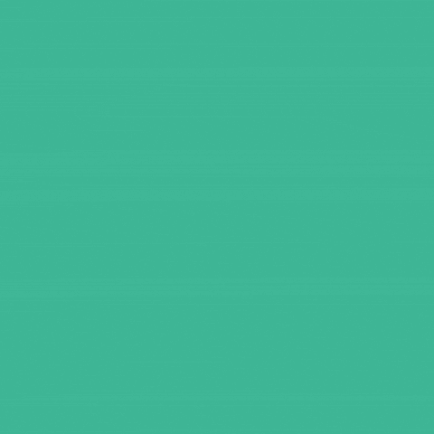 GIF by Special Olympics Oregon