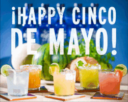 Cheers Drinks GIF by Milagro Tequila