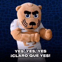 Leones-negros GIFs - Get the best GIF on GIPHY