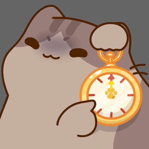 Catmemes GIF by Bichi Mao