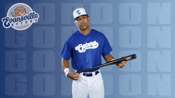 Happy Baseball GIF by Evansville Otters