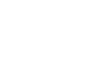 AEDEN Sticker