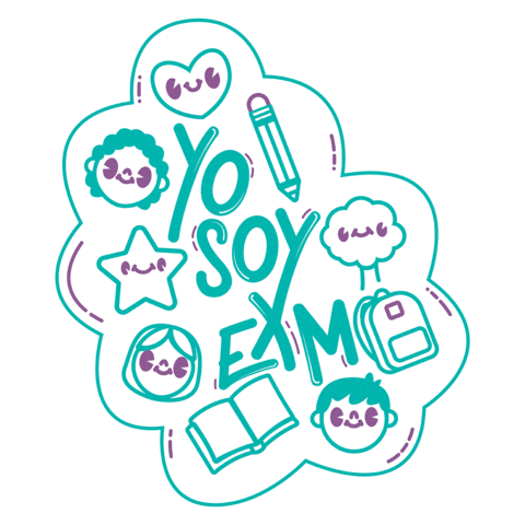 Enseña por México Sticker