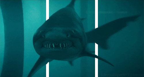 attack of the megalodon roblox shark bite  virus free