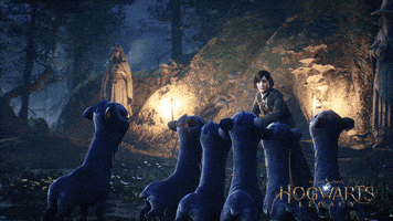 Hungry Harry Potter GIF by WBGames