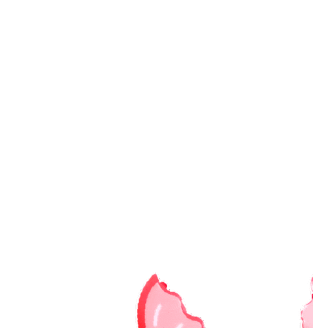 Crab Shrimp Sticker