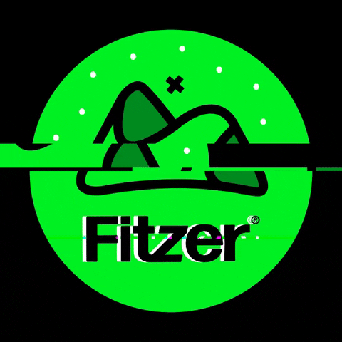 Fitzer Fitzerchallenge Hardseltzer Fitness Workout Ejercicio GIF by Mapriva