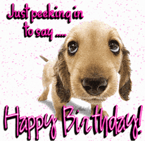 Dog Birthday Gifs Get The Best Gif On Giphy