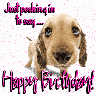 Birthday-dog GIFs - Get the best GIF on GIPHY