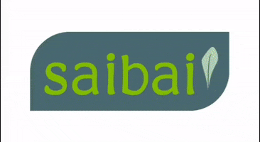 Saibaisaladas healthy saúde saudavel artichoke GIF