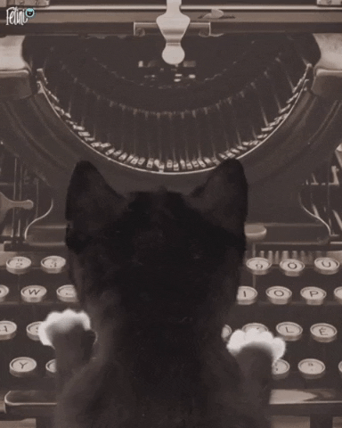 Work Cats GIF by Felini Rocks - Find & Share on GIPHY