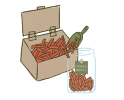 Terra Refill | A Granel y Zero Waste GIF