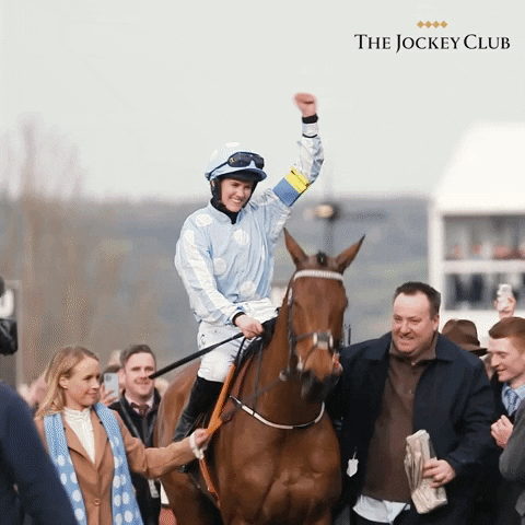 Happy Horse Racing GIF by The Jockey Club