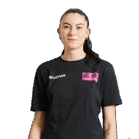 VBC Casalmaggiore Sticker