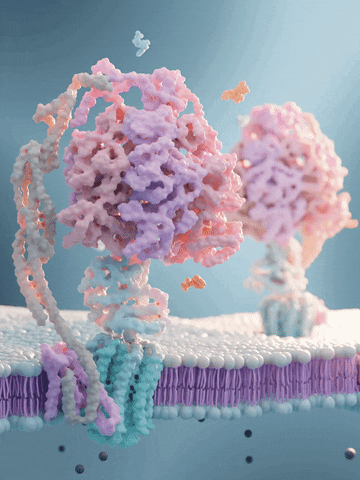 tomvh__ protein biology atp microbiology GIF
