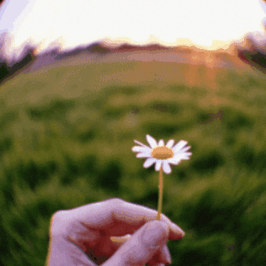 Flower Love GIF by Salih Kizilkaya